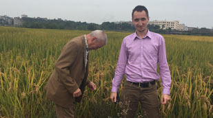 Poland Client Visit for Testing Purlin Channel Machine